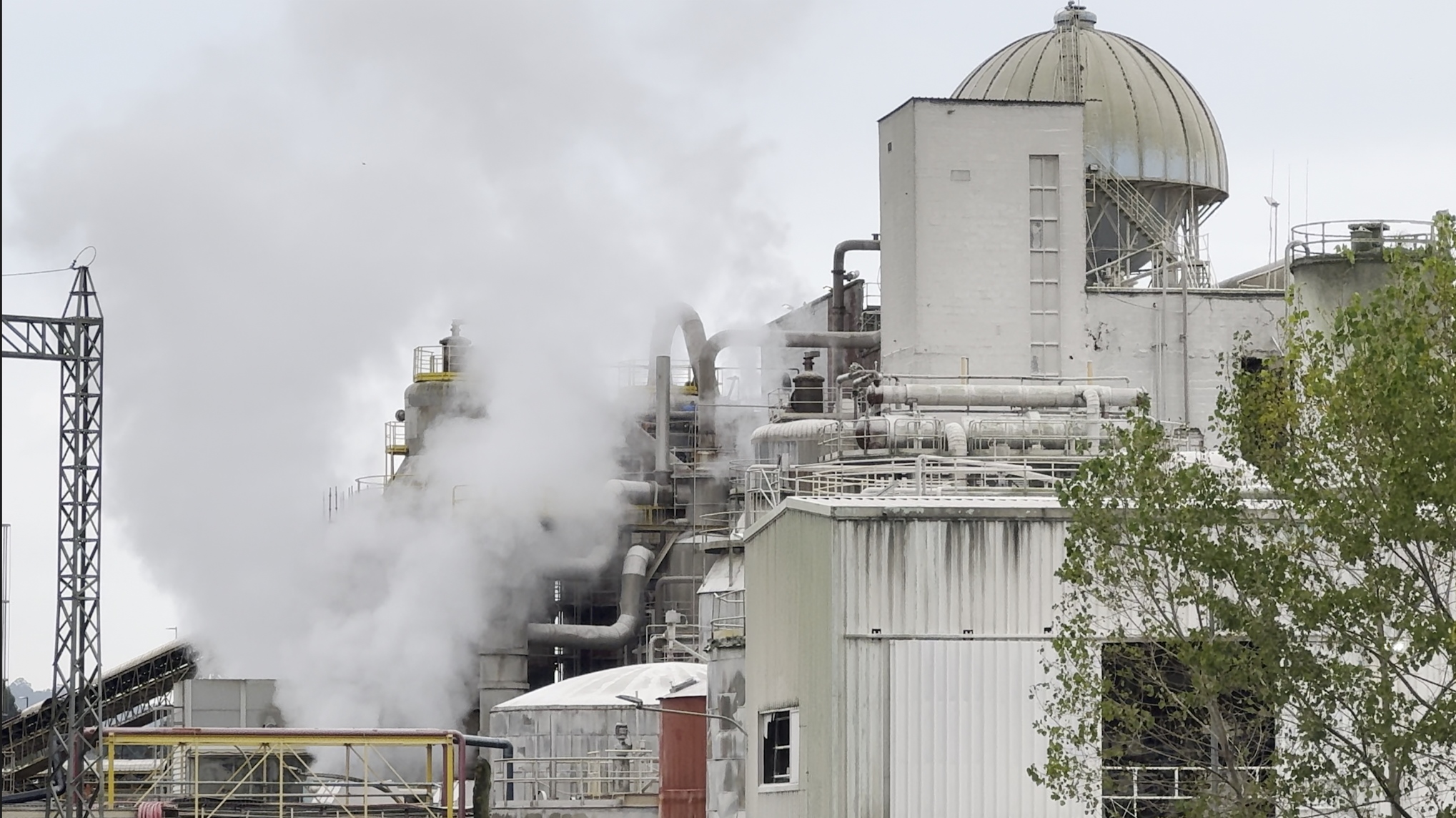 Stefanie Zoche - Celulosa Invasiva Stefanie Zoche - Celulosa Invasiva