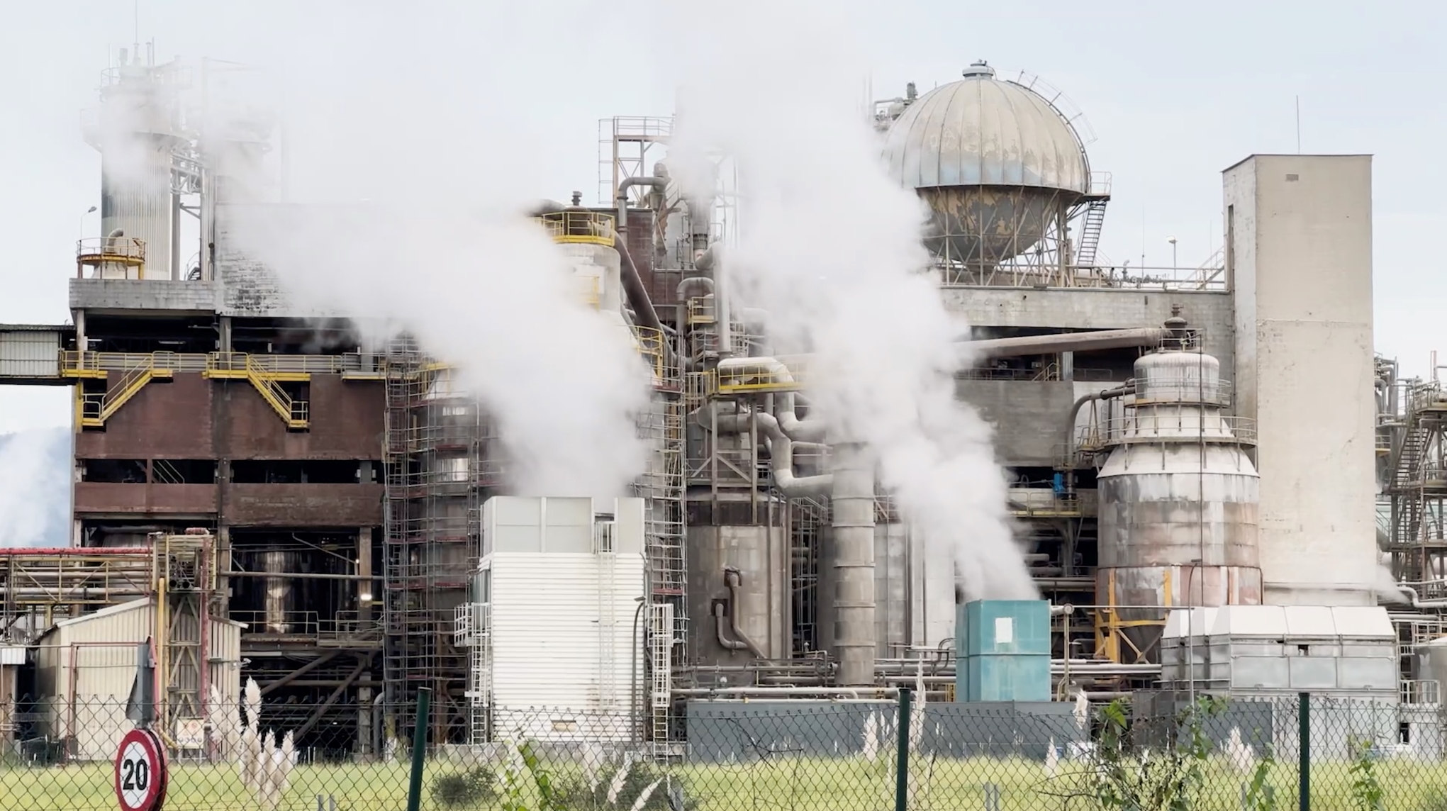 Stefanie Zoche - Celulosa Invasiva Stefanie Zoche - Celulosa Invasiva