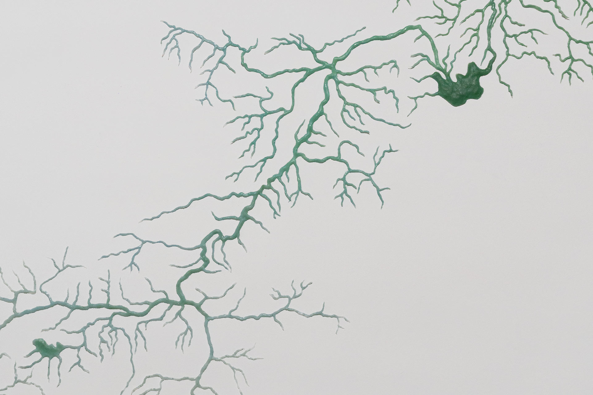 StefanieZoche-Celulosa (10)