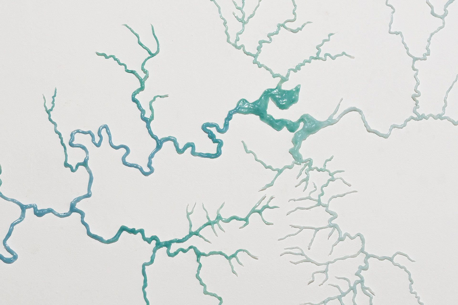 StefanieZoche-Celulosa (8)