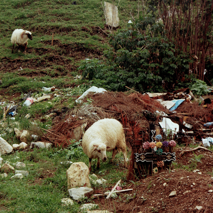 Víctor Tenorio Fuertes - Works